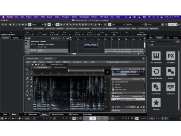 Preview: Steinberg SprectraLayers 12 Elements